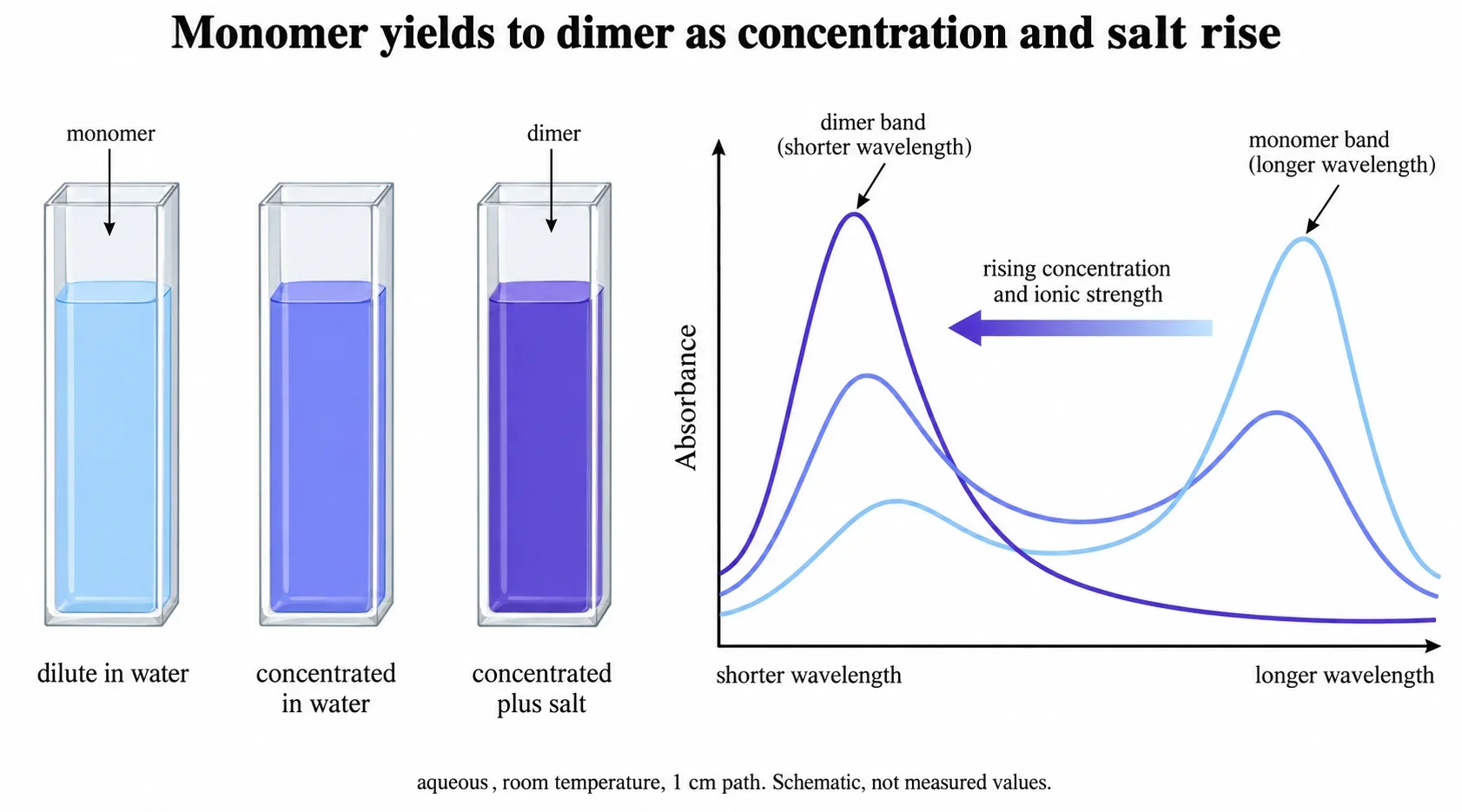 La concentration et le sel déplacent le spectre du bleu de méthylène du monomère vers le dimère. Trois cuvettes étiquetées et trois spectres schématiques superposés montrent que la bande de grande longueur d'onde cède progressivement la place à la bande de longueur d'onde plus courte lorsque la concentration et la force ionique augmentent. Les conditions sont indiquées sur le panneau.