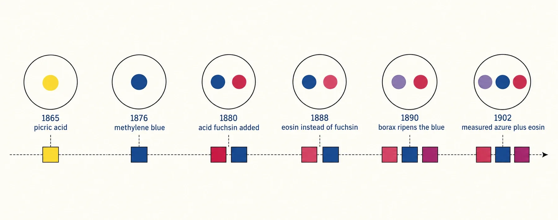 Diagrama de seis misturas de coloração sanguínea dispostas da esquerda para a direita numa linha temporal tracejada de 1865 a 1902. Cada círculo contornado contém os corantes dessa mistura sob a forma de pontos coloridos: amarelo para o ácido pícrico, azul para o azul de metileno, depois vermelho e azul para a fucsina ácida e novamente para a eosina, depois violeta e vermelho quando o bórax matura o azul e, por fim, violeta, azul e vermelho para o azure medido de 1902 com eosina. Por baixo de cada círculo, pequenos blocos mostram as cores produzidas por essa mistura num esfregaço de sangue, e o bloco vermelho-púrpura aparece pela primeira vez em 1890.