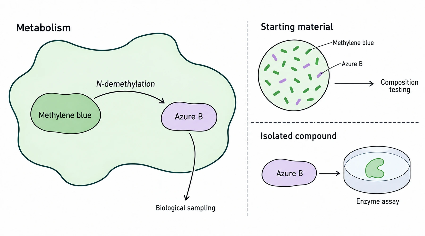 Azure B: methylene blue impurity, metabolite, and research compound
