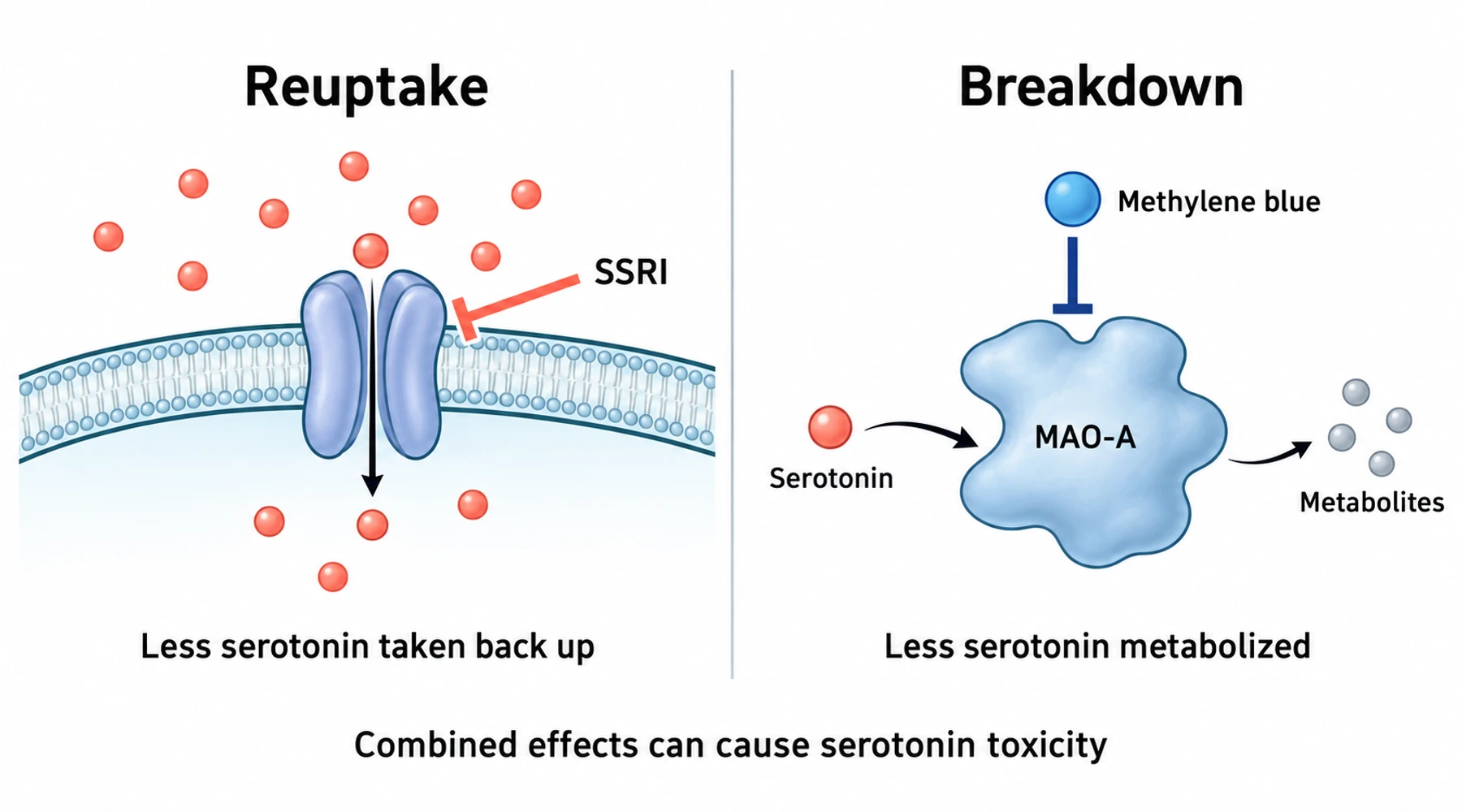 Methylene blue interactions: antidepressants, opioids, and serotonin syndrome