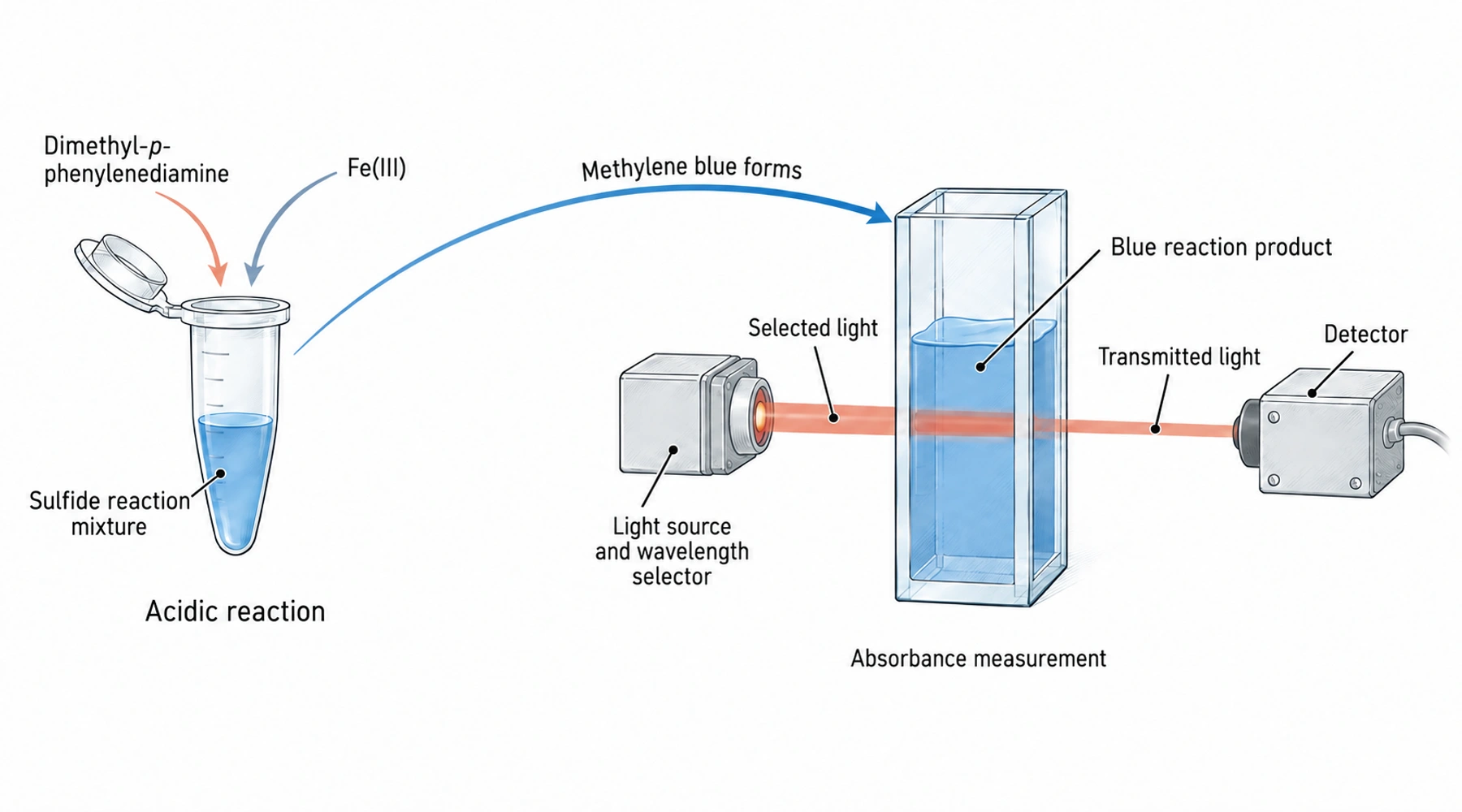 The methylene blue method for sulfide measurement