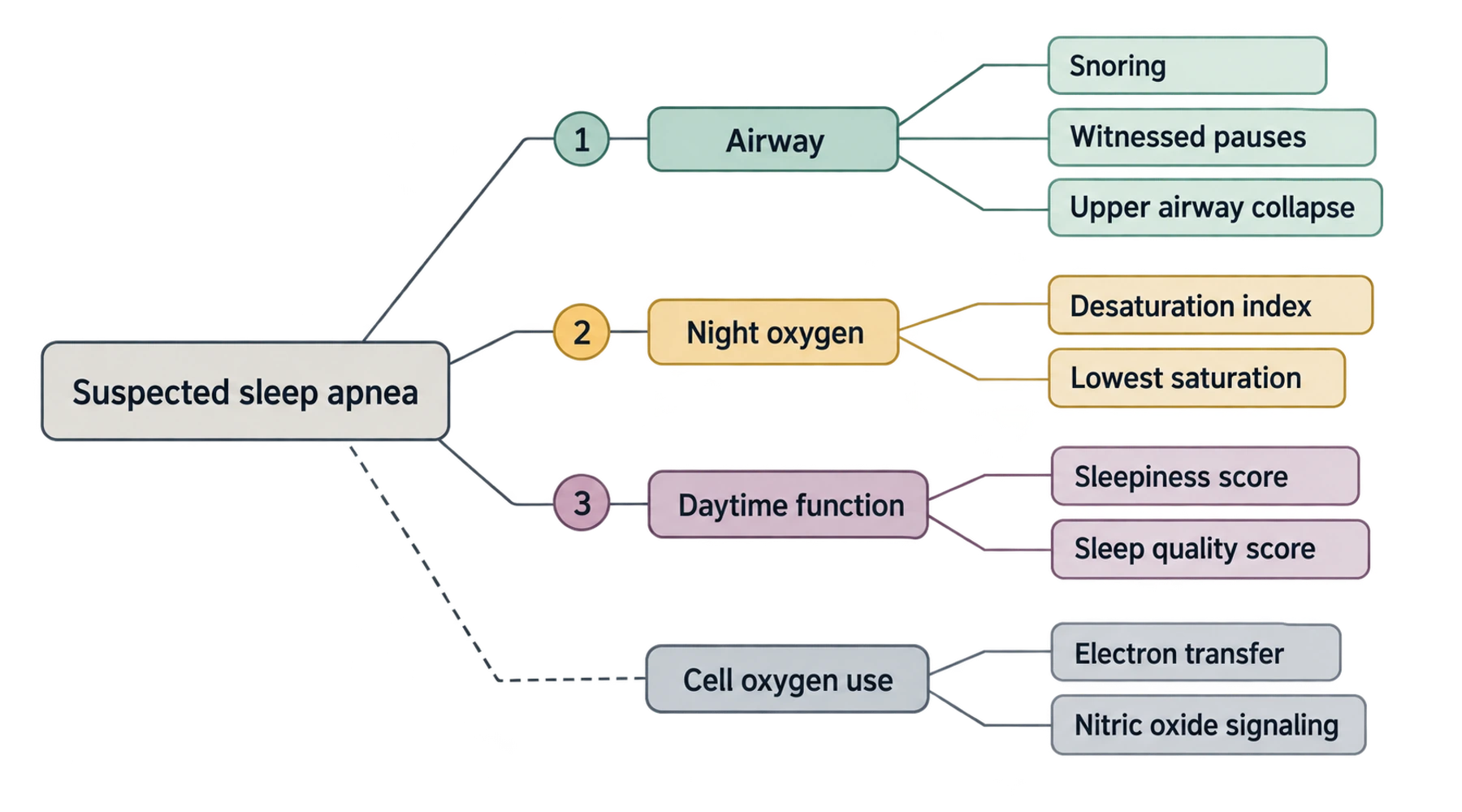 Bleu de méthylène contre l’apnée du sommeil et le ronflement : ce qu’une telle allégation devrait démontrer