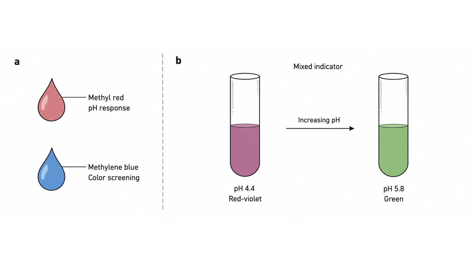 Methyl red and methylene blue: how Tashiro indicator works